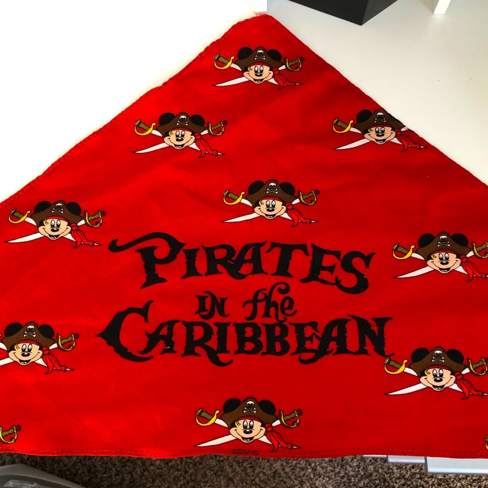 Disney scarf